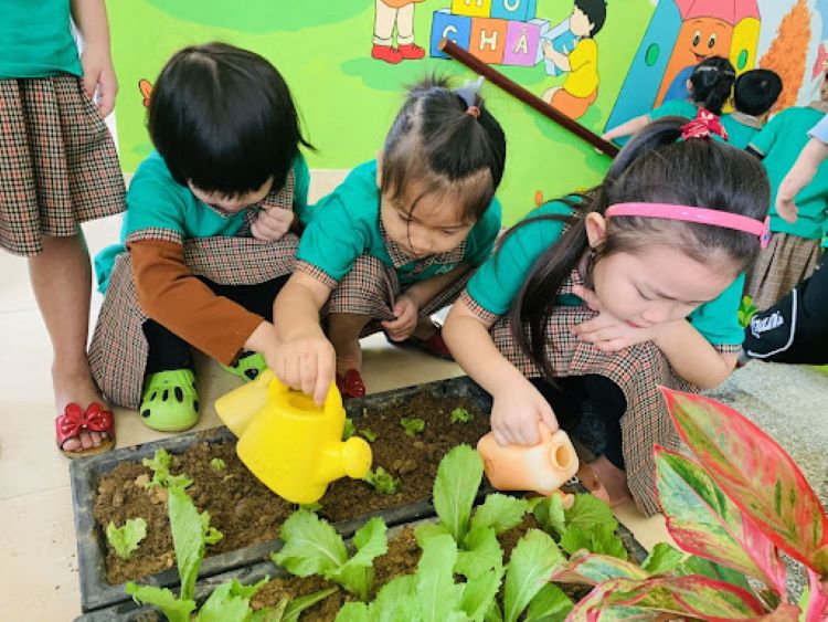 Khu vườn riêng cho trẻ