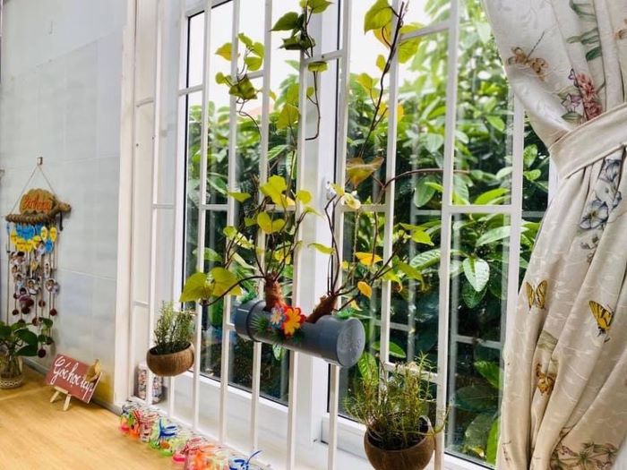 Trang trí lớp học bằng cây xanh