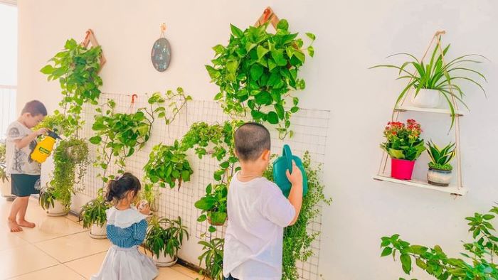 Trang trí lớp học bằng cây xanh
