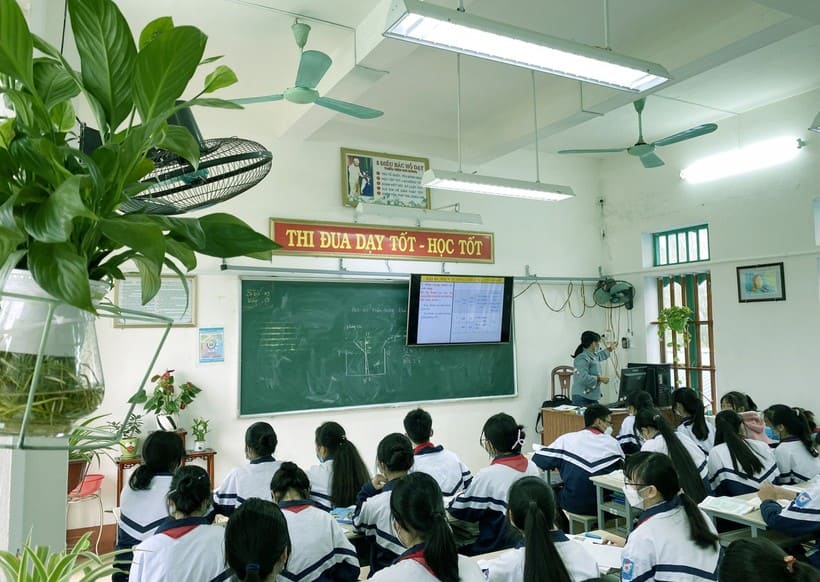 Trang trí lớp học bằng cây xanh