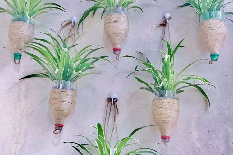 Trang trí lớp học bằng cây xanh